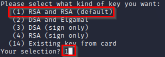 Select the RSA key type