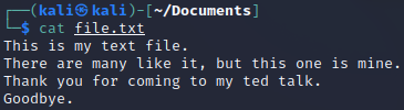 Contents of file.txt with cat