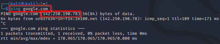 Example ping of google.com